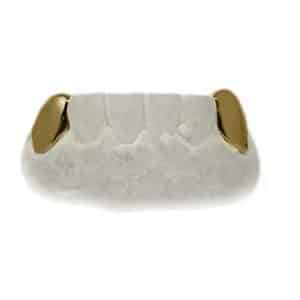 Bottom Fang Grillz 18K yellow gold