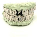 Polished Fangs Grillz
